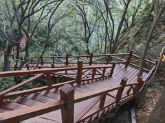 -大岭沟猕猴桃谷风景区