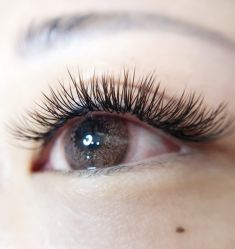 -LADYGIRL·Nail·Lash·美甲美睫