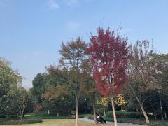 -杭州城北体育公园