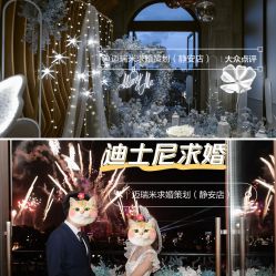 -迈瑞米求婚策划(静安店)
