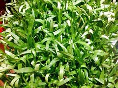 iphone_upload_pic-渝利重庆火锅