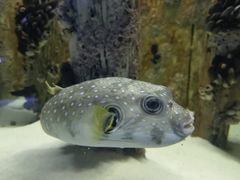 -海合安武汉极地海洋公园
