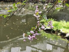 -复旦大学附属华山医院(总院)