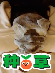 -贝黎诗SPA