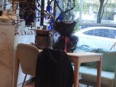 -伊斯坦布尔土耳其清真咖啡餐厅