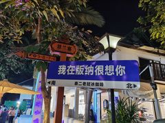 -西双版纳傣族园