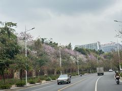 -南宁市凤岭儿童公园