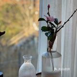 二鸟宅：让吃饭必须有仪式感