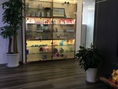 -Dr.Z dental仁康种植矫正中心