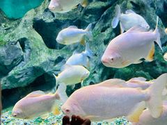 -常州海昌海洋探索馆