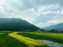 -杨大爹稀豆粉私房菜