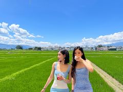 -喜林苑·稻田餐厅(品相府店)