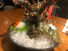 龙虾刺身头盘-Mr·Fish鱼鲜生海鲜放题(银泰in99店)