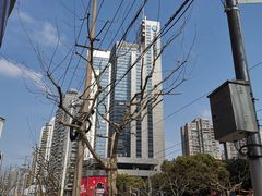 -中国移动通信集团上海有限公司