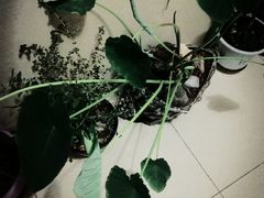 -纪家庙(地铁站)