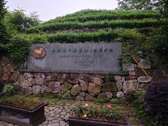 -龙井村