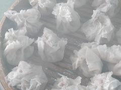 羊肉烧卖-国庆烧麦馆