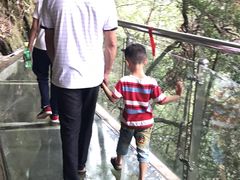 -九龙江国家森林公园