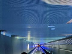 -白鹤梁水下博物馆