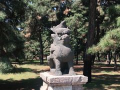 -北陵公园