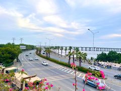 -宝安西湾红树林湿地公园