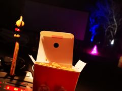 -枫花园汽车电影院(朝阳公园店)