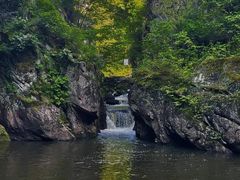 -茅兰沟国家森林公园