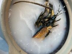 -扬州万怡酒店-中餐厅(文昌中路店)