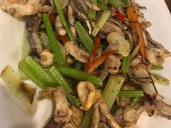 干煸鱿鱼须-陈傻子餐厅(世纪都会店)