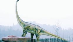 -恐龙探索乐园(磁器口店)