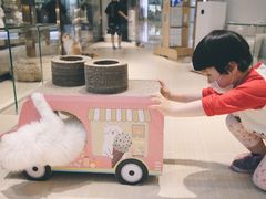 -momokira米努特·德文卷毛猫·棉花面纱犬
