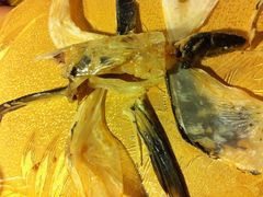 -秀水人家