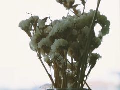 -麦当劳(上藤店)