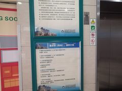 -上海市普陀区中心医院