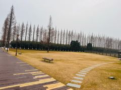 -黄海国家森林公园