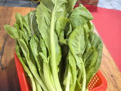 -钰洁腊排骨火锅