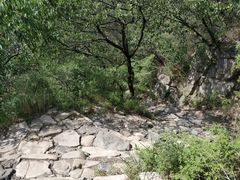 -阳台山自然风景区