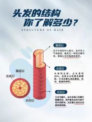 -丝域养发馆