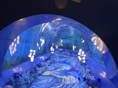 -重庆欢乐海底世界