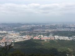 -紫金山天文台