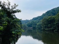 -青城山