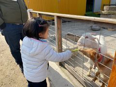 -前小桔亲子创意农场·草莓采摘·露营烧烤