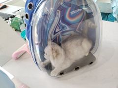 -关爱宠物医院·猫科中心·消化科(滨湖万达分院)