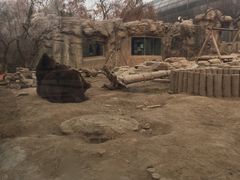 -北京动物园