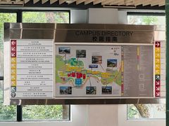-香港大学