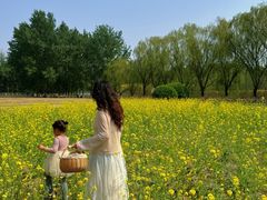 -天津武清北运河郊野公园房车露营地