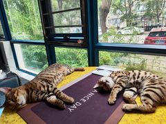 -路路通百辰汽车服务连锁(三合店)