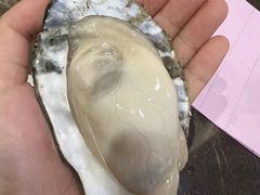 -蚝专家(北滘店)