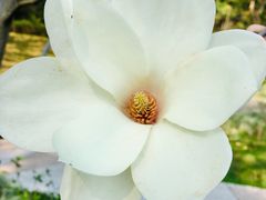 -云溪植物园