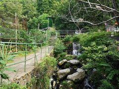 -藏龙百瀑风景区